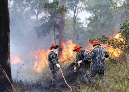 Sob coordenação dos bombeiros de MS, Força Nacional já atua no combate ao fogo no Pantanal