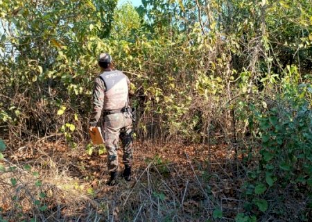 Trabalho conjunto entre Governo de MS e Ministério Público apura causas de incêndios no Pantanal