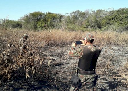 MS já aplicou R$ 54 milhões em multas por incêndios no Pantanal, e mutirão vai acelerar processos
