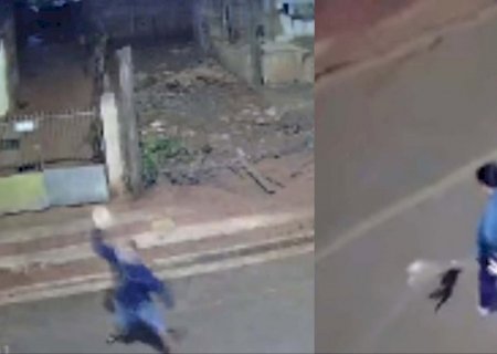 VÍDEO mostra usuário de drogas matando cachorro com pedrada no Jardim Montevidéu