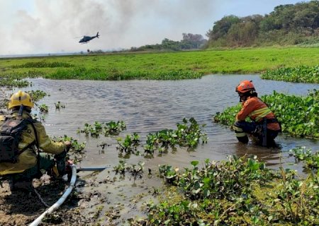 Serra do Amolar, Porto da Manga e Rabicho concentram esforços dos Bombeiros no Pantanal