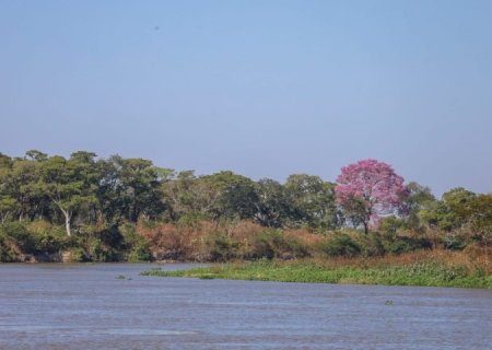 Com elevação gradativa nas temperaturas, quinta-feira tem previsão de sol e poucas nuvens