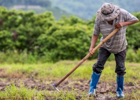 Investimento na agricultura familiar sobe 130% em edital de extensão da Fundect