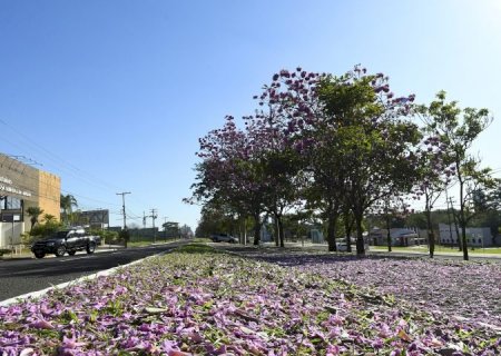 Aproximação de frente fria ameniza temperaturas em Mato Grosso do Sul neste sábado