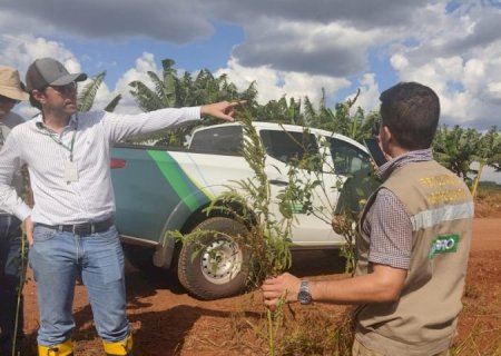 Governo de MS publica abertura de concurso da Iagro com 29 vagas para médico veterinário