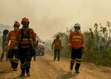 Pantanal: força-tarefa segue ativa para prevenir e combater incêndios em nova onda de calor e tempo seco