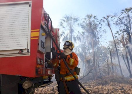 Com seis focos ativos, incêndios no Pantanal são intensificados devido a condições climáticas extremas