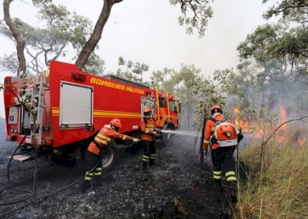 Combate aos incêndios florestais no Pantanal conta com reforço de garoa e queda na temperatura