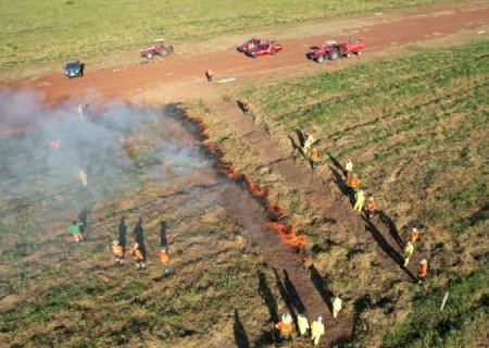 MS se destaca como pioneiro na implementação do Manejo Integrado do Fogo como prevenção a incêndios