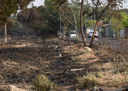 Incêndios florestais em áreas urbanas prejudicam meio ambiente e a saúde da população