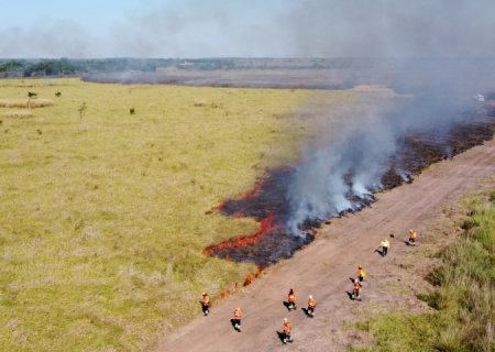 Governo altera decreto de emergência ambiental para incluir previsão de abertura de aceiros pela Agesul