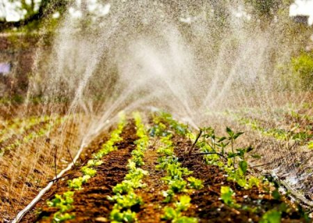 Via Fundect e Semadesc, Governo investe mais de R$ 5 milhões em Programa de Residência Agrária