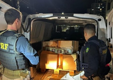 Em noite de apreensões de drogas, pitbull morde bandido e ajuda a polícia, em SC