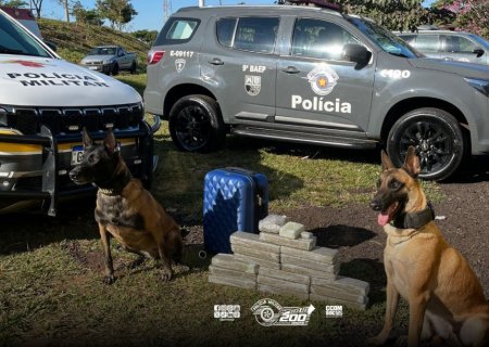 Adolescente de 15 anos é apreendido com maconha em ônibus interestadual