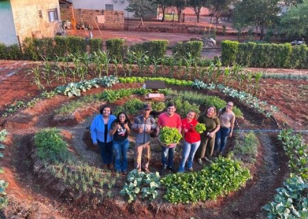 Iniciação científica: investimento de R$ 7 milhões garante programa com 1,2 mil bolsas ao Ensino Médio em MS