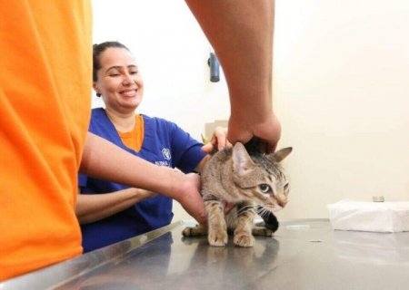 Região do Aero Rancho recebe mutirão para peta nesta semana