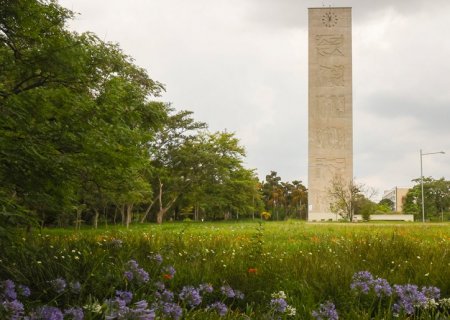 USP lidera na América Latina e é a 5ª universidade mais sustentável do mundo