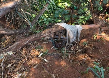 Homem é encontrado morto em área próximo a córrego em Macatuba | G1