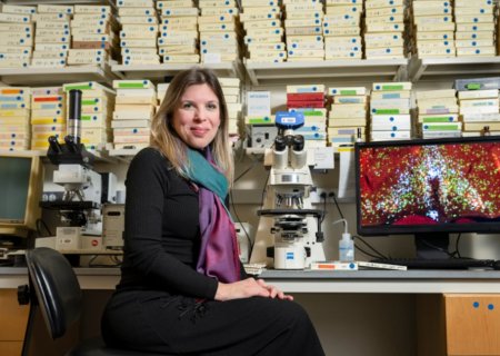 Pesquisadores descobrem conjunto de neurônios responsáveis pela febre e pelo torpor